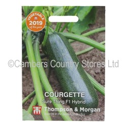 Thompson & Morgan Courgette Sure Thing F1